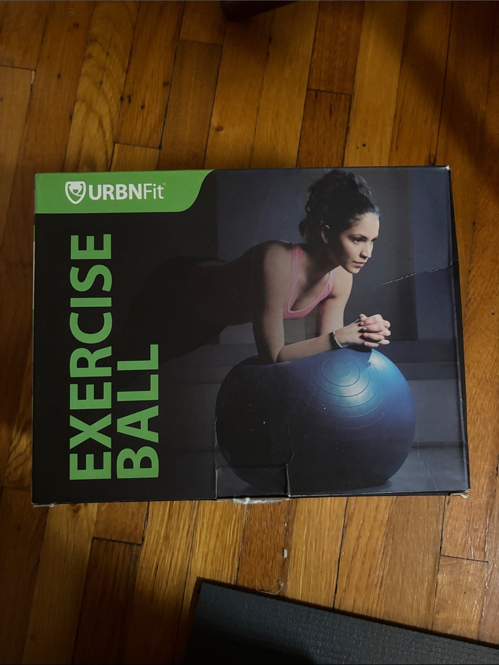 Exercise ball kit